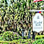 Elizabeth Pointe Lodge