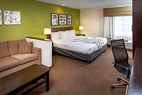1 King Bed, Suite, Nonsmoking