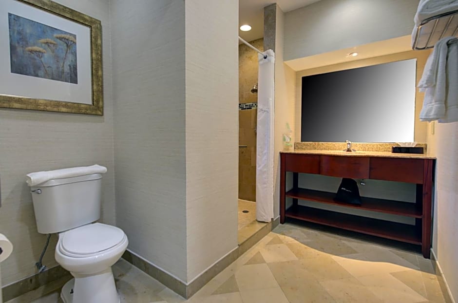 Holiday Inn Plainview-Long Island
