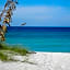 Turtle Crawl Inn - Longboat Key