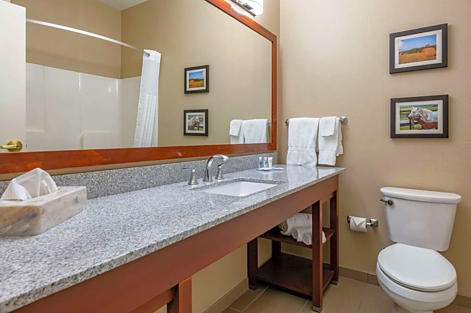 Comfort Inn & Suites Northern Kentucky