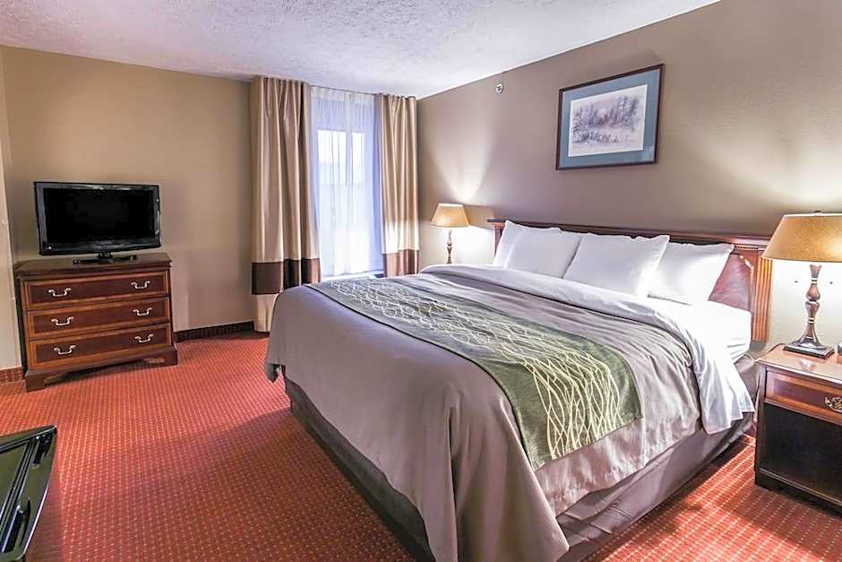 Comfort Inn Bristol