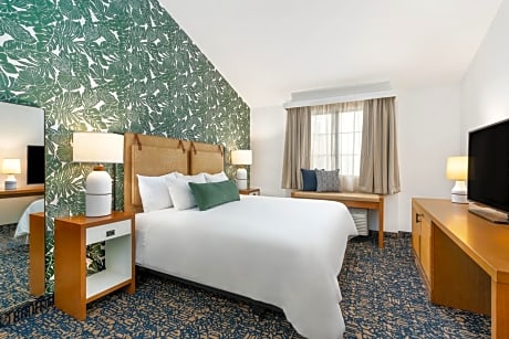 King Room with Roll-In Shower - Disability Access