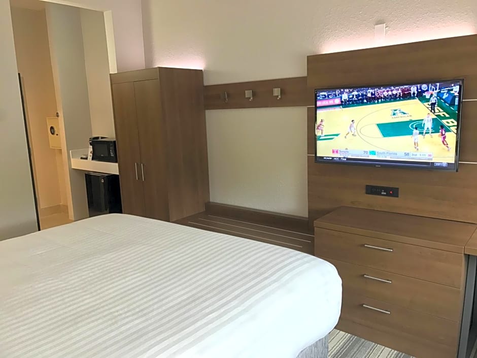 Holiday Inn Express Naples South - I-75