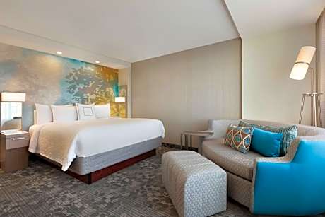 Larger King Room with Sofa Bed