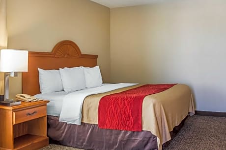 1 Bedroom King Suite