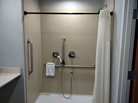 Accessible - 1 King, Mobility Accessible, Communication Assistance, Roll In Shower, Non-Smoking, Ful