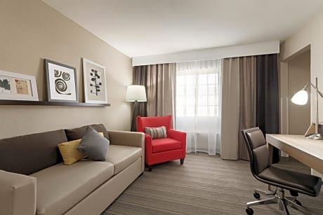 Premium One-Bedroom King Suite - Non-Smoking