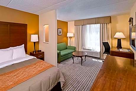 Queen Room with Sofa Bed