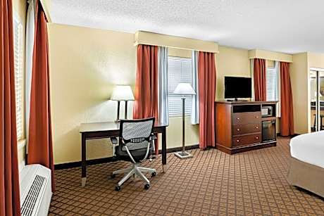 King Room - Disability Access Tub