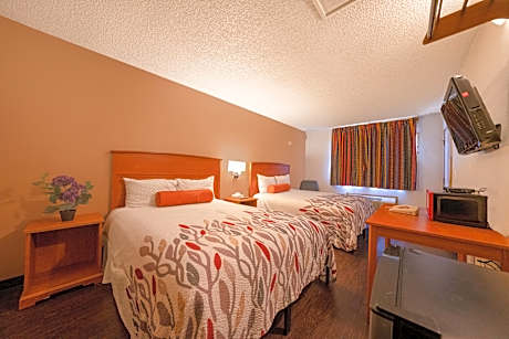 Premium 2 Queen Bed with Kitchenette