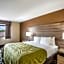 Quality Inn Cedar Rapids South