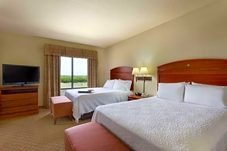2 Queen Beds Studio Suite Nonsmoking