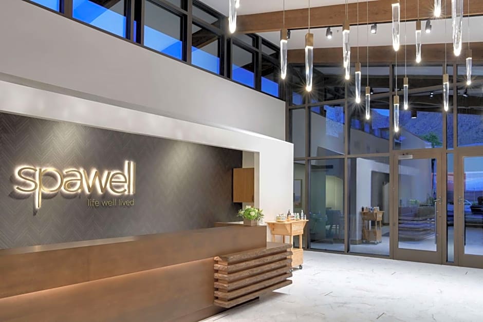 A Guide to Hilton Hotels Pet Policy What You Need to Know — Romingo