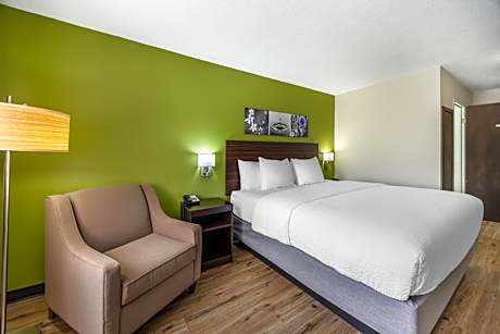 1 King Bed Non-Smoking