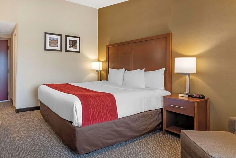 Comfort Inn Albany/Glenmont