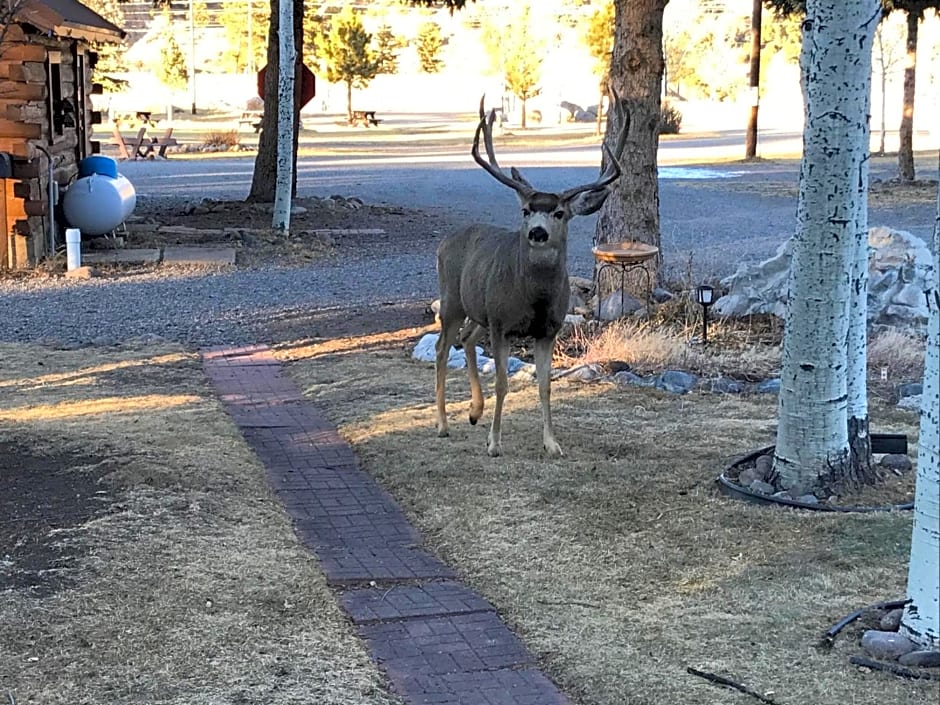 Grandview Cabins & RV Resort - photo 4