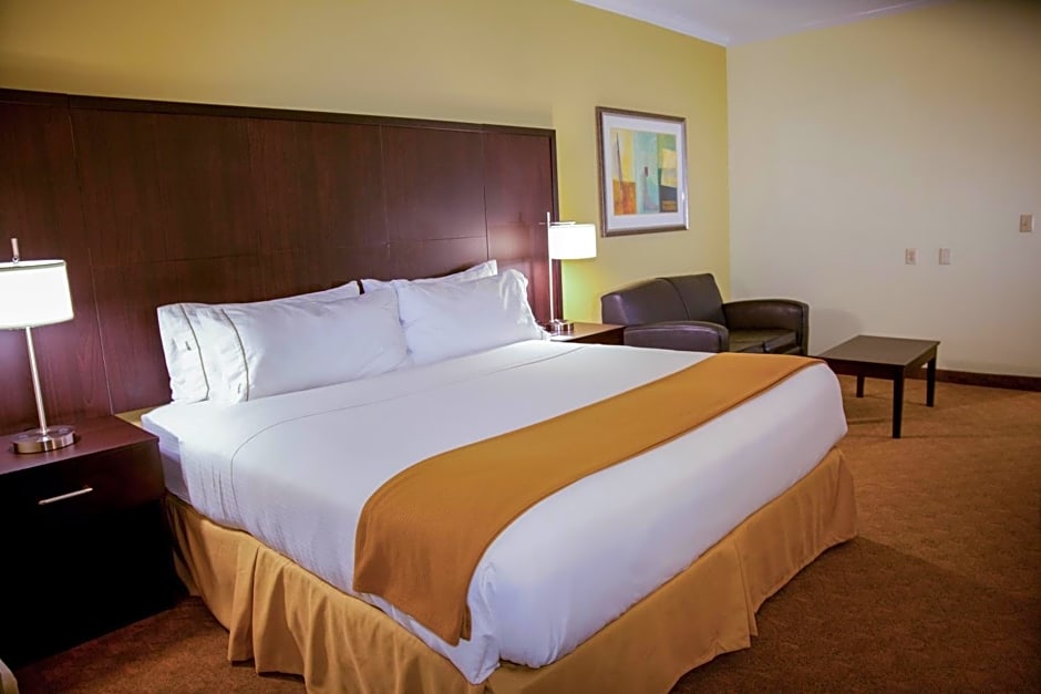 Holiday Inn Express Hotel & Suites Houston North Intercontinental