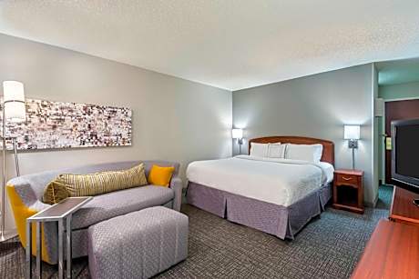 One-Bedroom King Suite with Sofa Bed and Balcony
