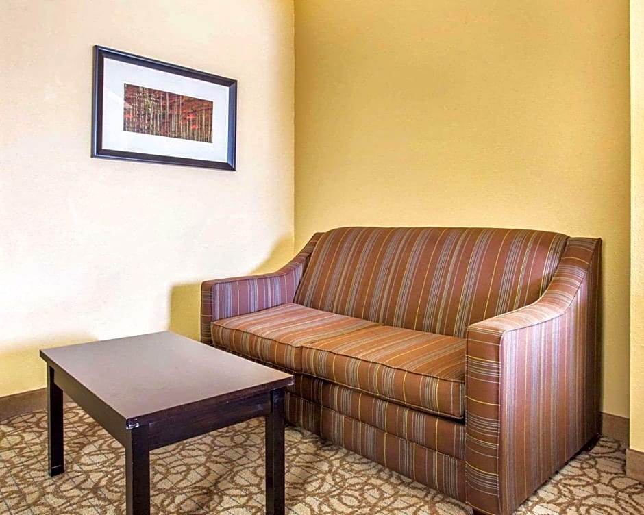 Comfort Inn & Suites At Stone Mountain