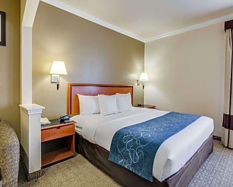 1 King Bed, Business Room, Suite, Nonsmoking