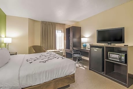 1 King Bed, Nonsmoking