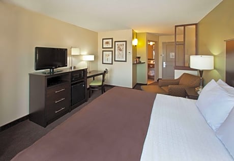 1 King Bed Non-Smoking