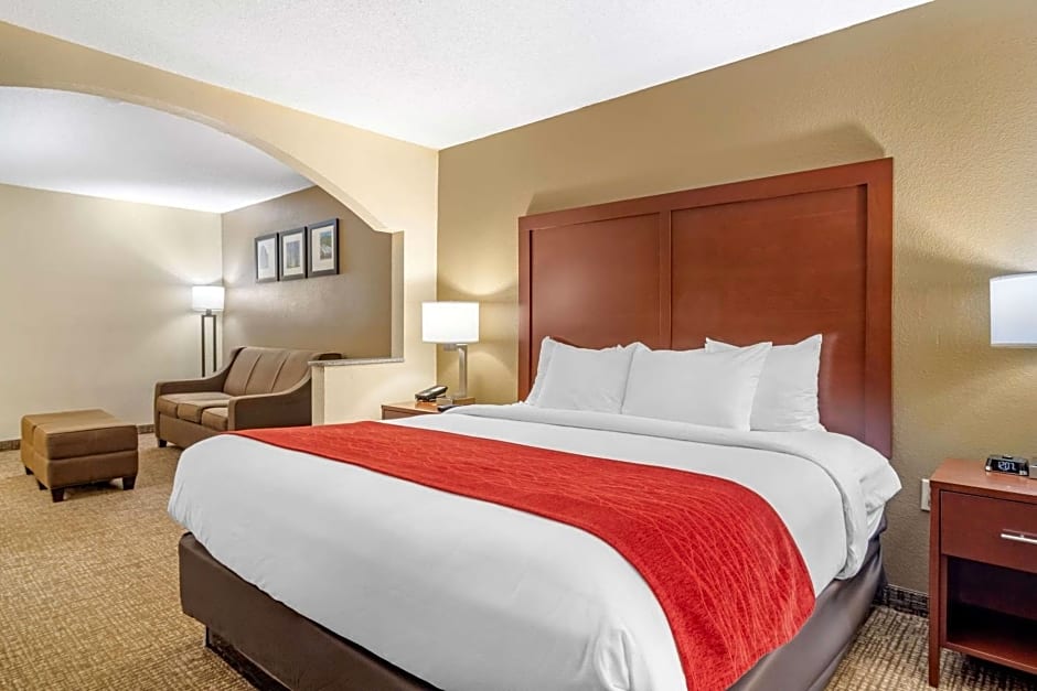 Comfort Inn & Suites Macon North I-75