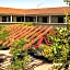 Vineyard Court Designer Suites Hotel