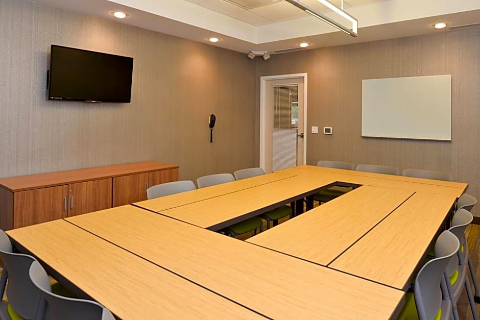 SpringHill Suites by Marriott Detroit Metro Airport Romulus