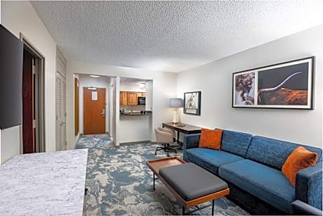 One-Bedroom Queen Suite with Sofa Bed and Kitchen