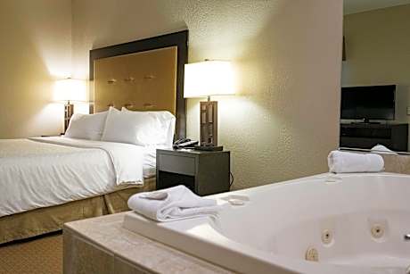 1 King Suite Sofa Bed Wet Bar