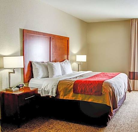 1 King Bed, Suite, Nonsmoking