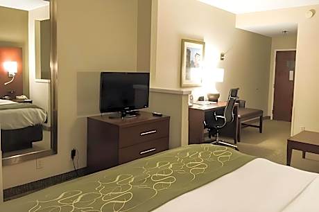 1 Bedroom Suite