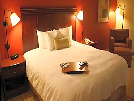 King Room with Sofa Bed - Non-Smoking