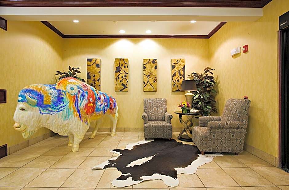 Holiday Inn Express and Suites Snyder