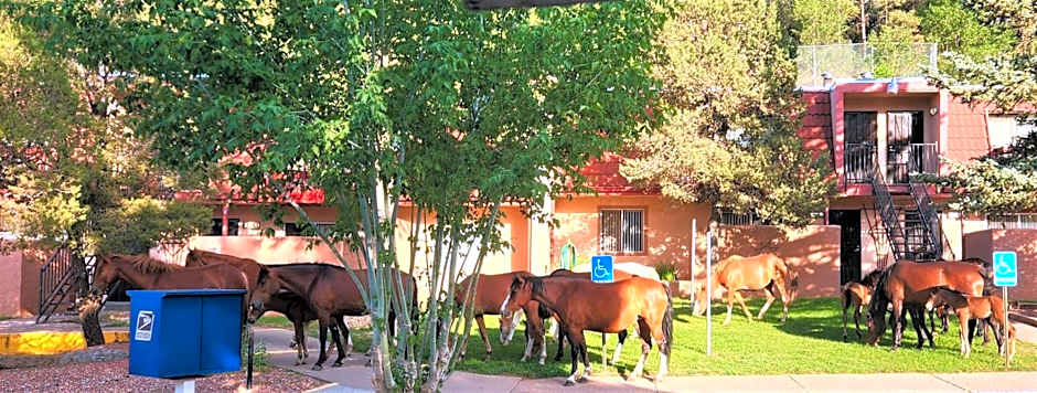 Pinecliff Village Resort