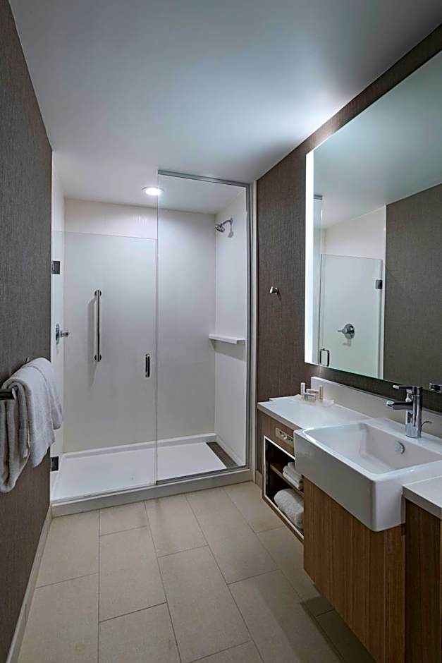 SpringHill Suites by Marriott Waco
