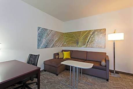 King Suite with Sofa Bed