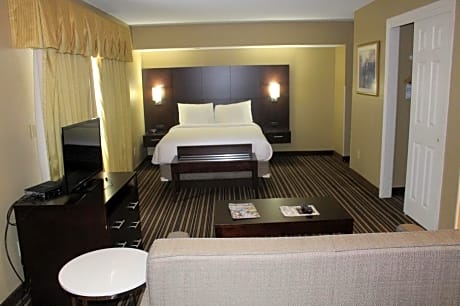 1 Queen Bed, Studio, Accessible Suite, Non-Smoking