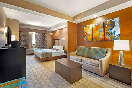 Suite-1 King Bed, Non-Smoking, Pillowtop Bed, Microwave And Refrigerator, Led Cable Tv, Sofabed, Ful