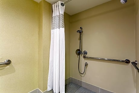 1 King Mobility Hearing Accessible 3X3 Shower Non-Smoking