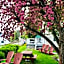 Lake View Motel