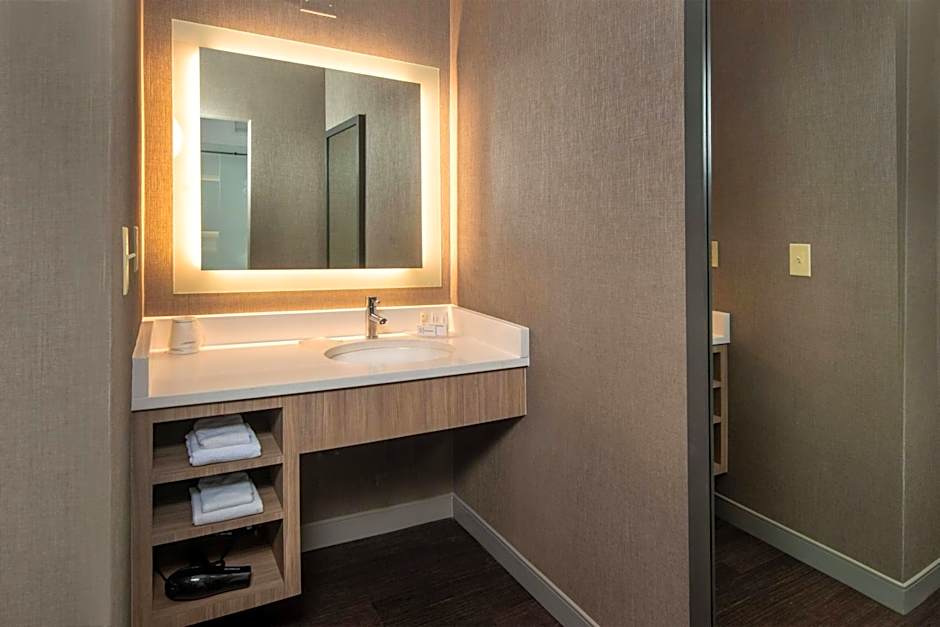 SpringHill Suites by Marriott Herndon Reston