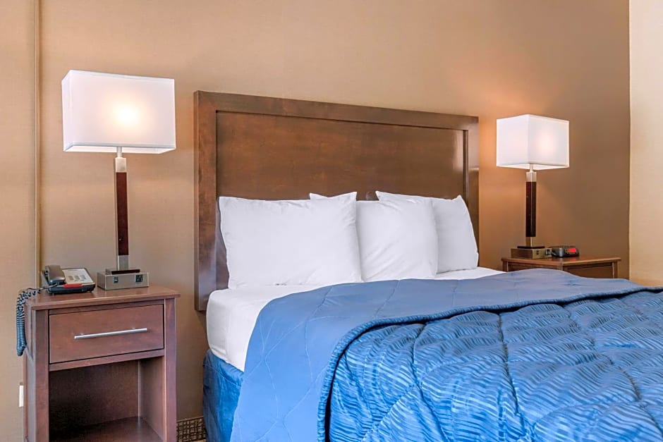 Rodeway Inn Chicago