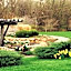 Holiday Inn Express and Suites Edwardsville