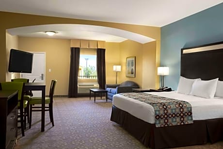 1 King Bed Mobility Accessible Studio Suite Non-Smoking