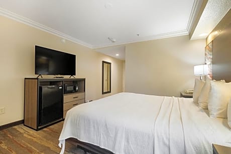 Accessible - Suite King Bed Mobility Accessible Roll In Shower Sofabed Non-Smoking Full Breakfast
