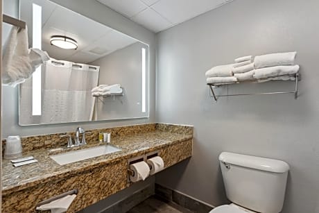 One-Bedroom King Suite - Non-Smoking