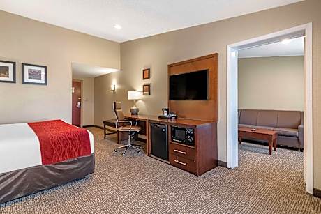 1 King Bed Suite Nonsmoking